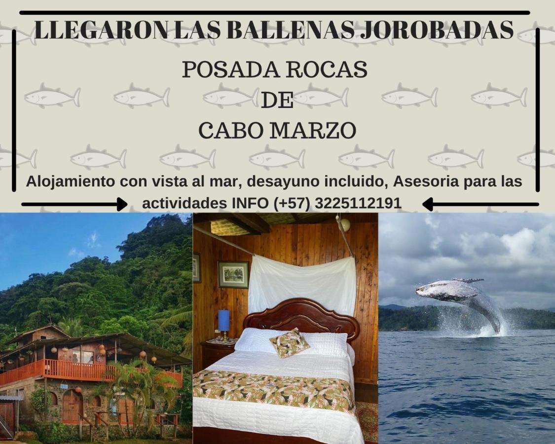 Posada Turistica Rocas De Cabo Marzo บาเยีย โซลาโฯ ภายนอก รูปภาพ