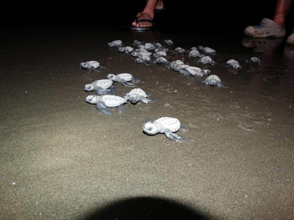 Posada Turistica Rocas De Cabo Marzo บาเยีย โซลาโฯ ภายนอก รูปภาพ